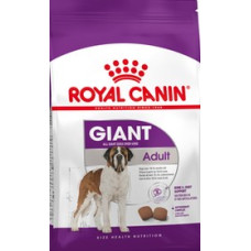 Royal Canin Dog Adulto Giant